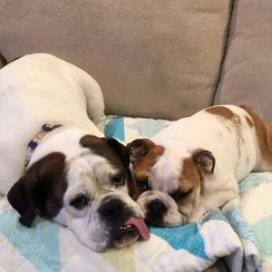 Meet your Posher, Shannon